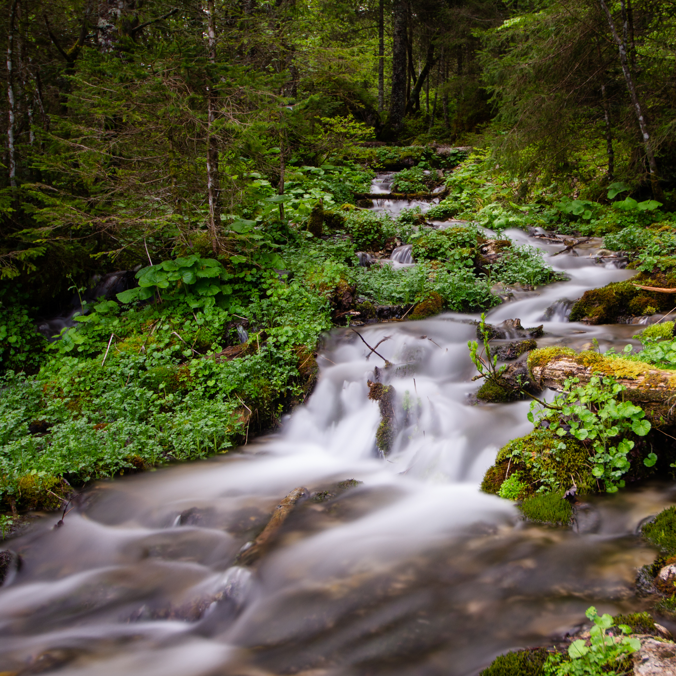 Flüsse, Bäche, Quellen am vorderen Gosausee