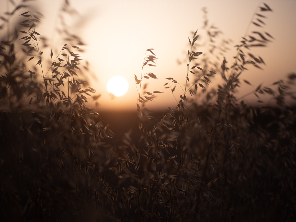 Sonnenuntergang Wandbild