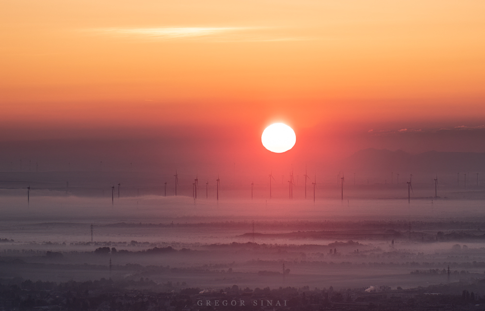 Niederösterreich Wandbilder